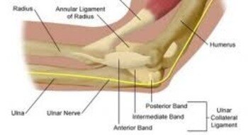 Ligament Replacement Surgery, also known as "Tommy John Surgery"