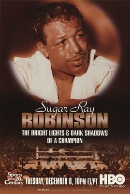 sugar ray robinsons pro record