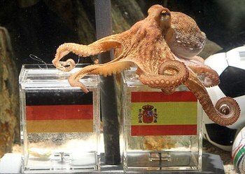 Football-2010-octopus_display_image