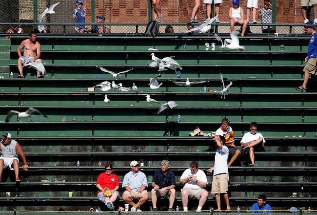 bleacher bums