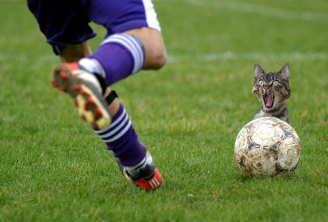 Funny Photos Collection: Funny Football Pictures