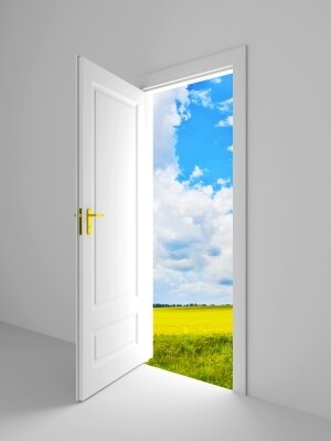 Open-door-field_display_image