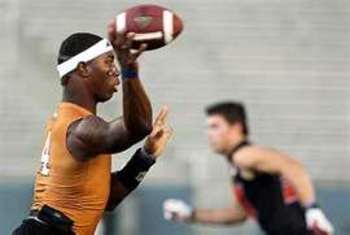 Boykin2_display_image