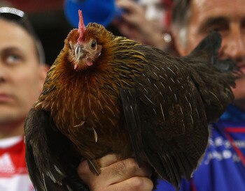 When you fill out your "Which mascot would win a fight" bracket, they're essentially the Coastal Carolina Roosters.