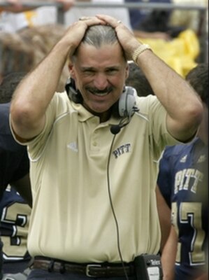 Wannstedt_display_image