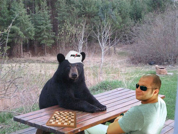 fedor-playing-chess-with-a-bear_display_image.jpg