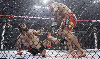 Arlovski_display_image