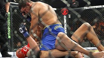 Silva_display_image