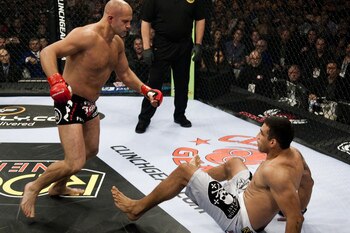 Werdum_display_image