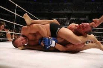 Fedor6_display_image