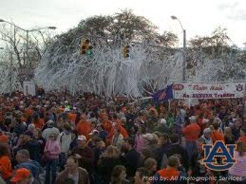 Toomer_display_image