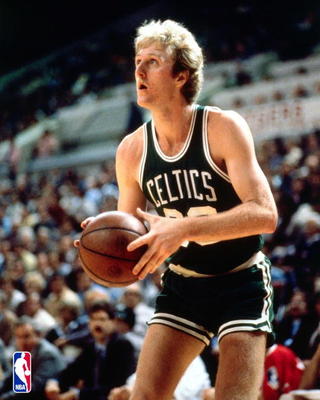 Larrybird_display_image