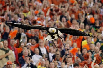 GLENDALE, AZ - JANUARY 10:  Challenger, a Bald Eagle circles the stadium during the national anthem for the Tostitos BCS National Championship Game between the Oregon Ducks and Auburn Tigers at University of Phoenix Stadium on January 10, 2011 in Glendale