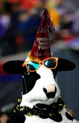 ATLANTA - DECEMBER 31:  A Chick-fil-A cow walks around the stadium during the LSU Tigers 38-3 win over the Georgia Tech Yellow Jackets in the Chick-fil-A Bowl on December 31, 2008 at the Georgia Dome in Atlanta, Georgia.  (Photo by Kevin C. Cox/Getty Imag