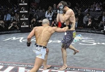 Eddiebodyshot_crop_340x234_display_image