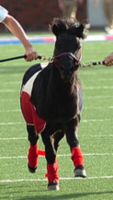 P_display_image