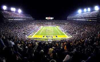 Lsu-tiger-stadium-night_display_image