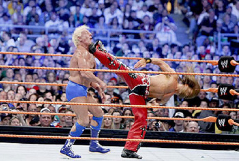 Closing it down Shawn-michaels-vs-ric-flair_display_image