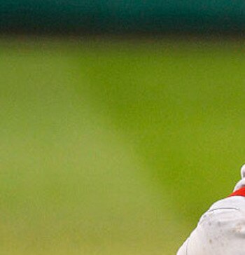 If only Cueto kept his leg kick to after a pitch