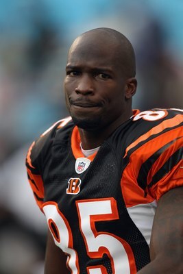 CHARLOTTE, NC - SEPTEMBER 26:  Chad Ochocinco #85 of the Cincinnati Bengals during their game against the Carolina Panthers at Bank of America Stadium on September 26, 2010 in Charlotte, North Carolina.  (Photo by Streeter Lecka/Getty Images)