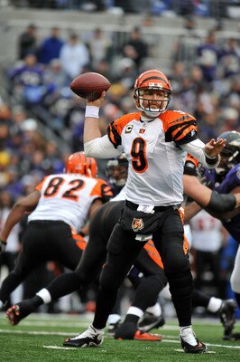 Carson Palmer