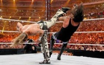 Shawnmichaels_display_image