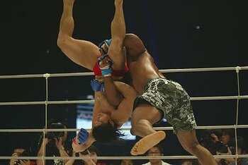 Minowa_display_image