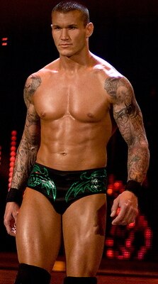 Randy_orton_display_image