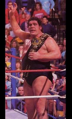 andrethegiant_display_image