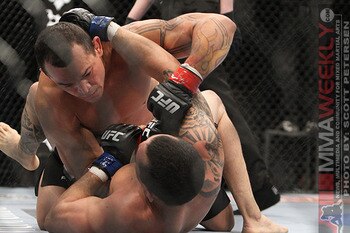 Tibau_0056_display_image