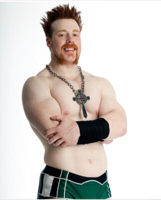 Sheamus_display_image