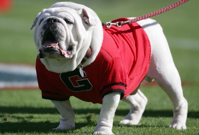 ACKSONVILLE, FL - OCTOBER 28: The Georgia Bulldogs mascot 'Uga' barks in the end zone during a game against the Florida Gators at Alltel Stadium on October 28, 2006 in Jacksonville, Florida. Florida defeated Georgia 21-14. (Photo by Marc Serota/Getty Imag
