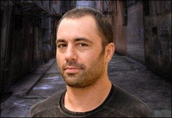 Rogan1_display_image