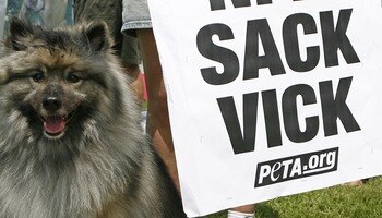 FLOWERY BRANCH, GA - JULY 26:  A dog sits next to a 'Sack Vick' sign at the PETA protest outside the grounds of the Atlanta Falcons training camp July 26, 2007 in Flowery Branch, Georgia. Falcons quarterback Michael Vick was to appear for a bond hearing a