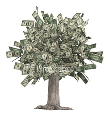 Money_tree_display_image