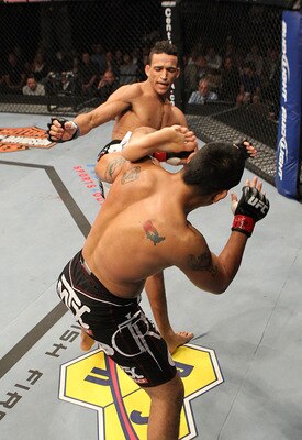 Oliveira_display_image