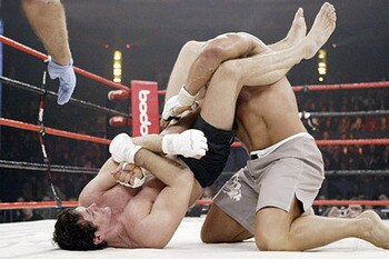Gracie_display_image