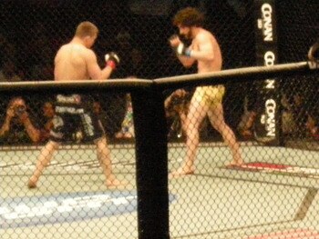 Brenneman_display_image