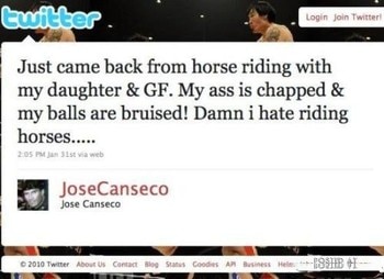 Hilarious Display Pics