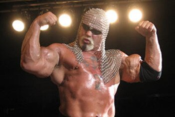 Scott_steiner_display_image