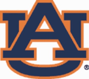 Auburntigers11_display_image