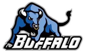 Bulls_logo_display_image