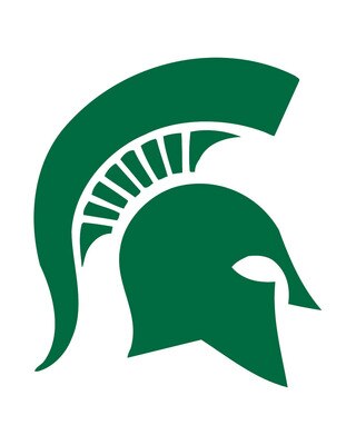 Msulogo_display_image