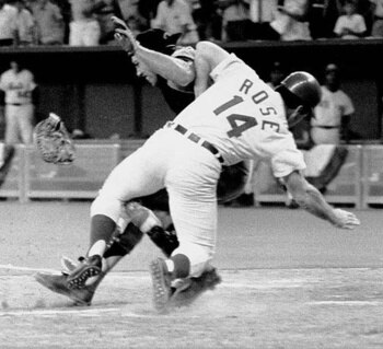 Peterose_display_image