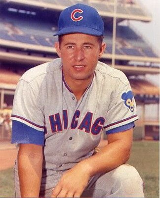 Ronsanto_display_image