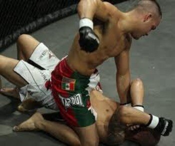 Eddie Alvarez finishing the fight with vicious ground-and-pound