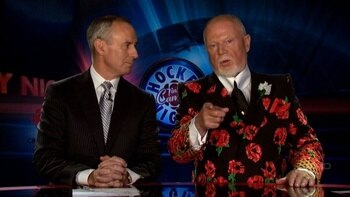 Doncherryhnic20081129_display_image