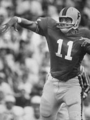 Spurrier_display_image