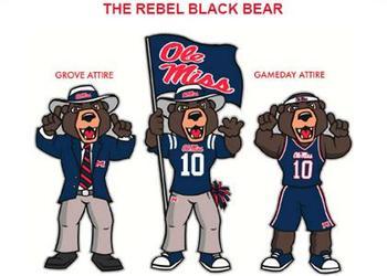 Black-bear-2_display_image_display_image