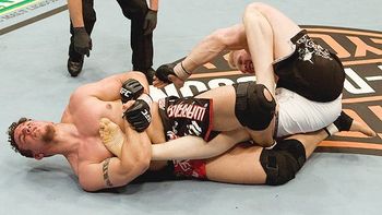Mirkneebar_display_image